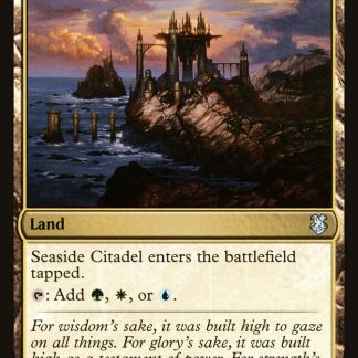 Seaside Citadel