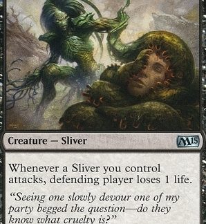 Fragmentado sanguijuela