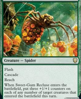Sweet-Gum Recluse