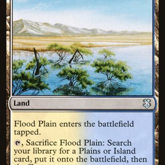 Flood Plain