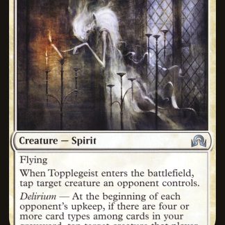 Topplegeist