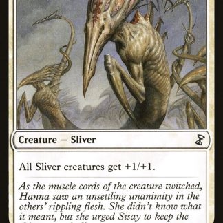 Sinew Sliver